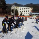 태화초교 이미지