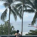 모달리 | 보홀 모달라 리조트 내돈내산 후기, 이정도면 가성비 인정 (조식,수영장,프라이빗 비치)