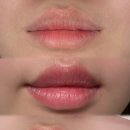 스튜디오비오스
