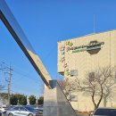 농협부산공판장2번 | 부산 꽃시장 화훼단지 엄궁 농협부산화훼공판장 한겨울 방문 후기