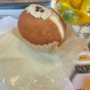 (주)빅스푼코퍼레이션 | 맹라니 25년 10월 일상블로그 , 무던하고 안온하게