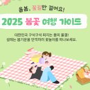 2025 봄꽃 여행 가이드 : 향기로운 봄내음을 맡을 수 있는 봄꽃 여행지 TOP 10!