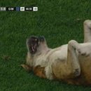 BOXING STORY 이미지