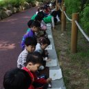 꿈나무유치원 이미지