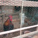 안산 향토사료관 이미지