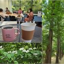 우쿨렐레(주간) 이미지