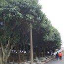 해저터널 이미지