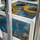 봉자네1번지 이미지