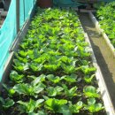 가곡농장 이미지