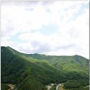 반야사 티스토리