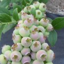 김진득 농장 이미지