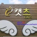 캣츠펜션 이미지