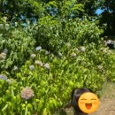 광명동굴 내 | 광명 가 볼만한 곳 광명동굴 아기랑 다녀온 후기