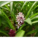 길상초등학교 이미지