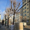 속옷할인매장 | 서울 강남강북 가구 할인매장 방문 후기 가성비 쇼핑 화인하우스후기