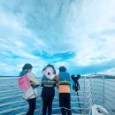 파란 | [무료 재탑승] 파란크루즈 후기