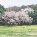 부귀리 마을회관 이미지