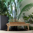 다산별빛초등학교 | 세컨플레이스 다산점 애쉬라벤더 염색후기 두피자극 없이 완벽변신!