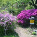 백양산 애진봉 이미지