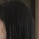 아름드리미용실 | 아름드리다헤어 면목점 클리닉 내돈내산 후기(사라 실장)