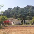 송전농장 이미지