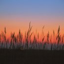 신성리생태공원 이미지