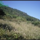 신안군 흑산면 만재도보건진료소 이미지