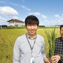 송탄농협미곡종합처리장 이미지