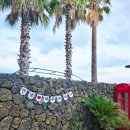 히네니2 이미지