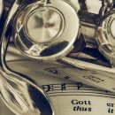 플루트(1년) 이미지