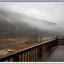 버들민박 이미지