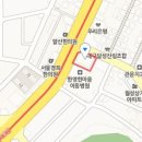 정철마취통증의학과의원 이미지