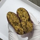 주정차단속-37 이미지