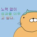 화이자 백신 1차, 2차 후기 + 예방접종 증명서
