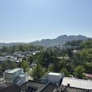 25.05.06 서울 삼청동 서점 | 과학책방 갈다