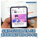 유튜브 프리미엄 우회 없이 싸게 쓰는 방법 돌로퍼 패밀리 계정 솔직 후기