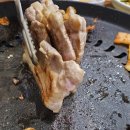 거성식육식당