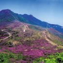 [5월 1일 정기산행]합천"황매산~모산재" 이미지