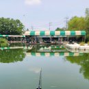 선두포낚시터 | 낚린이가 가본 캠낚 (캠핑, 낚시) 조행기