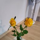 보문모든풀빌라 이미지