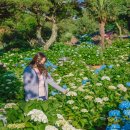 제주허브동산 이미지