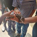 울산연구원 실내 화장실 | 울산 실내동물원 아이와 가볼만한곳 헬로우쥬 솔직후기