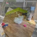 난향동-7 | 난향동 철거업체 선정부터 에어컨 실외기 철거 방법까지 제 경험을 공유합니다