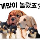 자닮세무회계세무사송애경사무소 이미지