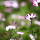 2018-02-0280