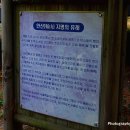 자연공원 이미지