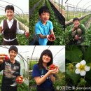 임영택농장 이미지