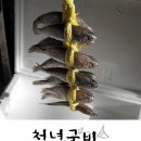 조아굴비