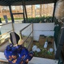 안성맞춤캠핑장 이미지