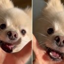 겟풀(GETPOOL) 이미지